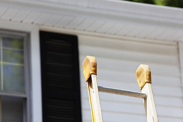 Best Residential Vinyl Siding Installation  in Imlay City, MI