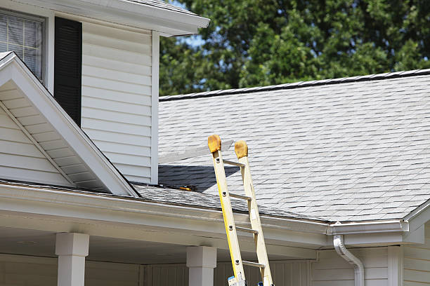 Best Fascia and Soffit Installation  in Imlay City, MI